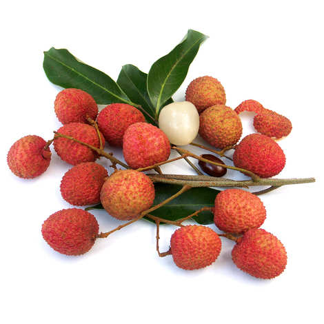 LITCHI