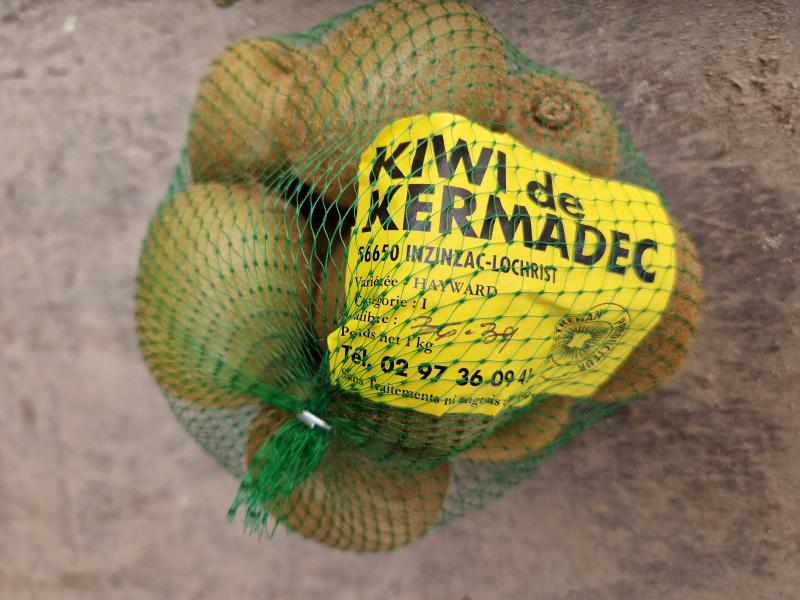 KIWI hayward filet env. 12 kiwis ( 1kg)