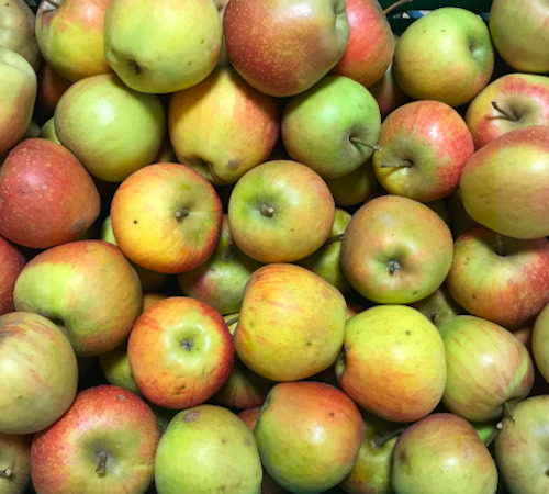 POMME RUBINETTE